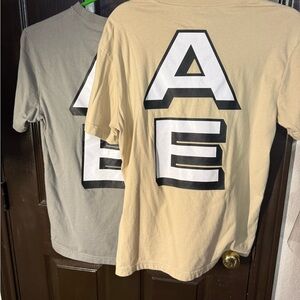 2 American Eagle Outfitters Men's Graphic T-Shirt - Tan and Green